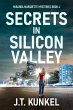 Secrets in Silicon Valley (eBook, ePUB) - Bild 1