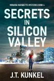 Secrets in Silicon Valley (eBook, ePUB)