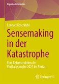 Sensemaking in der Katastrophe (eBook, PDF)