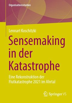 Cover Sensemaking in der Katastrophe (eBook, PDF)