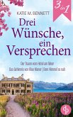 Drei Wünsche, ein Versprechen (eBook, ePUB)