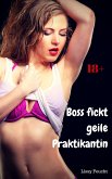 Boss fickt geile Praktikantin (eBook, ePUB)