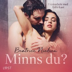 Cover Minns du? - erotisk novell (MP3-Download)