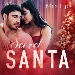 Cover Secret Santa – erotisk novell (MP3-Download)