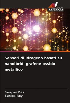Cover Sensori di idrogeno basati su nanoibridi grafene-ossido metallico
