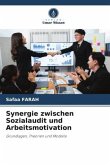 Synergie zwischen Sozialaudit und Arbeitsmotivation