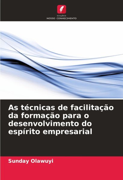 As técnicas de facilitação da formação para o desenvolvimento do espírito empresarial