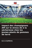 Impact des champignons AM sur le stress dû à la sécheresse chez les jeunes plants de pommes de terre