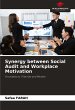 Synergy between Social Audit and... - Bild 1
