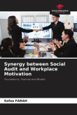 Synergy between Social Audit and Workplace Motivation