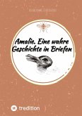 Amalie. Eine wahre Geschichte in Briefen