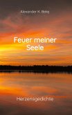 Feuer meiner Seele Feuer meiner Seele