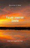 Feuer meiner Seele Feuer meiner Seele