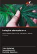 Indagine etnobotanica - Bild 1
