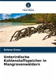 Unterirdische Kohlenstoffspeicher in Mangrovenwäldern