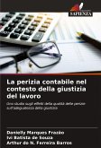 La perizia contabile nel contesto della giustizia del lavoro