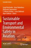 Sustainable Transport and Environmental Safety in Aviation