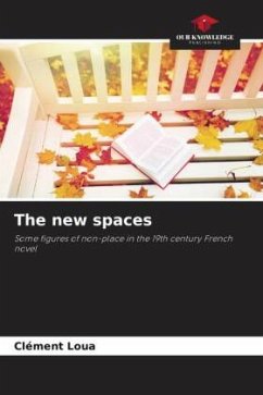 The new spaces - Loua, Clément