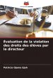Évaluation de la violation des droits... - Bild 1