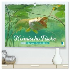 Heimische Fische: Karpfen, Forelle, Hecht (hochwertiger Premium Wandkalender 2025 DIN A2 quer), Kunstdruck in Hochglanz