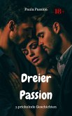 Dreier Passion (eBook, ePUB)