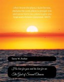The God of Second Chances (eBook, ePUB) The God of Second Chances (eBook, ePUB)