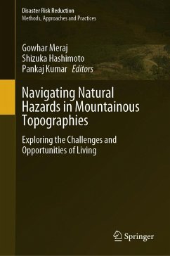 Cover NavigatingNaturalHazardsinMountainousTopographies (eBook, PDF)