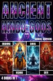 Ancient Hindu Gods (eBook, ePUB)