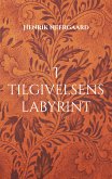 I tilgivelsens labyrint (eBook, ePUB)