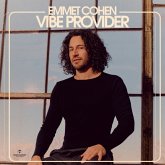 Vibe Provider Vibe Provider