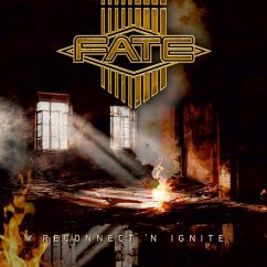 Cover Reconnect 'N Ignite