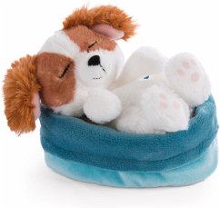 Cover NICI 47890 - Sleeping Pets, Welpe Cocker Spaniel, Schlafender Hund im Körbchen, Plüsch
