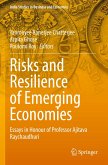 Risks and Resilience of Emerging Economies Risks and Resilience of Emerging Economies