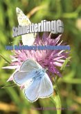 Schmetterlinge von Havelberg und Umgebung