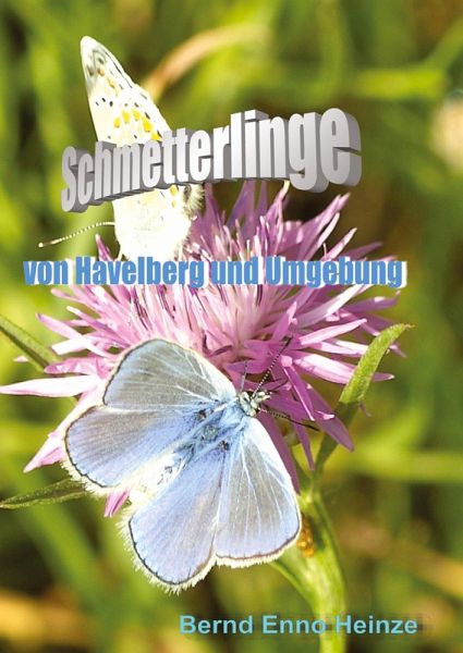 Schmetterlinge von Havelberg und Umgebung