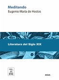 Meditando-- Hamlet, Plácido, Carlos Guido Spano, Guillermo Matta, lo que no quiso el lírico Quisqueyano, etc (eBook, ePUB)