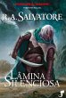 A Lenda de Drizzt Vol.11 - A Lâmina... - Bild 1
