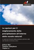 Le opzioni per il miglioramento della precipitazione all'interno delle nuvole naturali