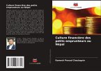 Culture financière des petits emprunteurs au Népal Culture financière des petits emprunteurs au Népal