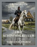 Der Schimmelreiter