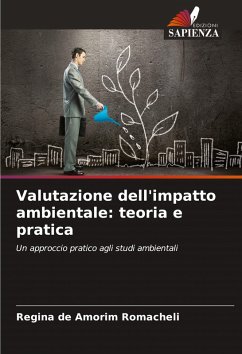 Cover Valutazione dell'impatto ambientale: teoria e pratica
