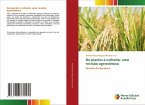 Do plantio à colheita: uma revisão agronômica