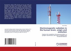 Electromagnetic radiation in the human brain, origin and evolution