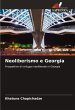 Neoliberismo e Georgia - Bild 1