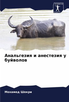 Cover Anal'geziq i anesteziq u bujwolow