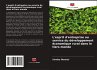 L'esprit d'entreprise au service du... - Bild 1