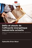 Défis et atouts de l'efficacité énergétique industrielle actuelle