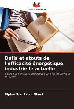 Défis et atouts de l'efficacité énergétique industrielle actuelle - Nkosi, Siphesihle Brian