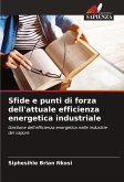 Sfide e punti di forza dell'attuale efficienza energetica industriale