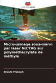 Micro-usinage sous-marin par laser Nd:YAG sur polyméthacrylate de méthyle